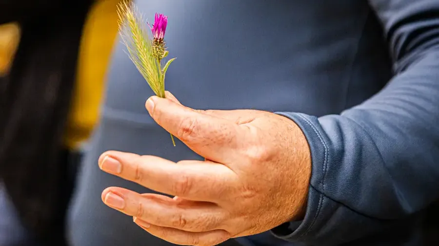 230516_Somewhere_Places_LAB_img_065