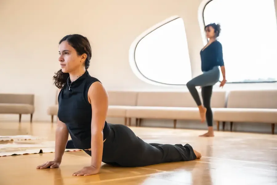 Health, Wellness & Movement